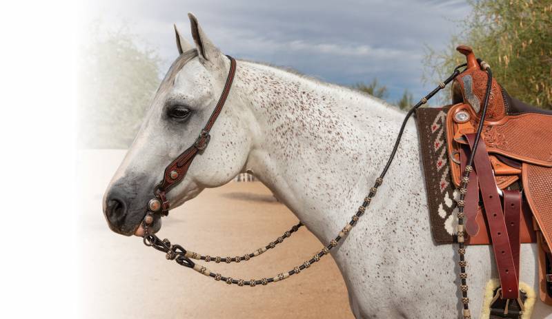 what are Professional's Choice Rawhide Romal Reins?