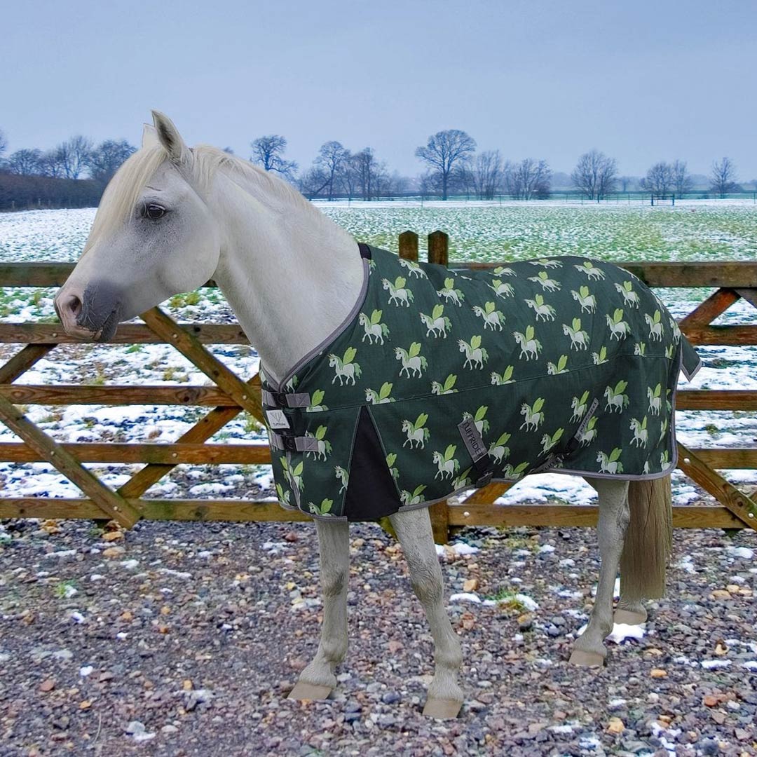 Any size 69”? I have a large welsh mare