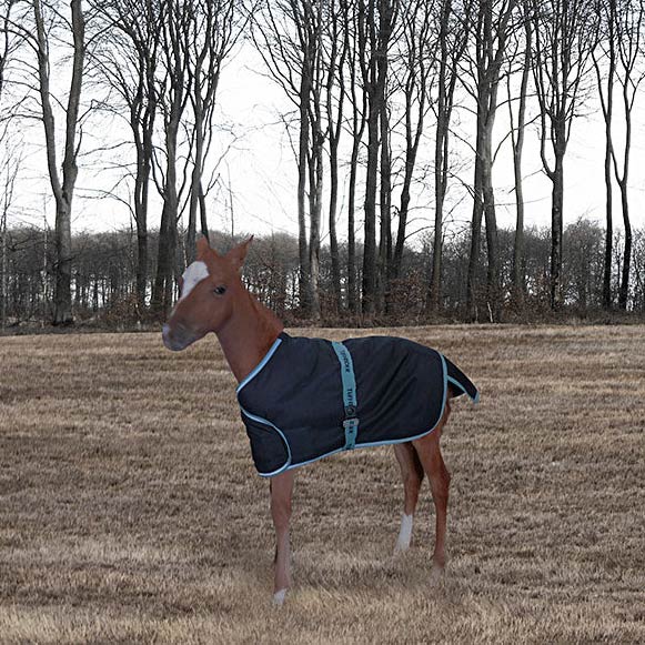 TuffRider 1200D Foal Adjustable Turnout Blanket 220GSM Fill Questions & Answers