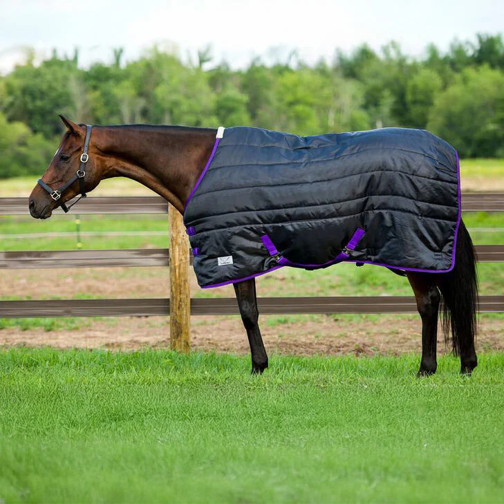 How does the blanket ensure a secure and custom fit for each horse?